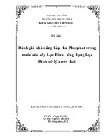 Đánh giá khả năng hấp thu photphat trong nước của cây lục bình   ứng dụng lục bình xử lý nước thải