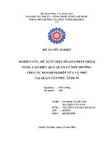 Nghiên cứu, đề xuất một số giải pháp nhằm nâng cao hiệu quả của quản lý môi trường cho các doanh nghiệp vừa và nhỏ tại quận Tân Phú, thành phố Hồ Chí Minh