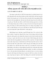 Nghiên cứu hiện trạng và đề xuất các giải pháp phát triển các khu công nghiệp trên địa bàn tỉnh Bình Dương theo hướng thân thiện môi trường. Nghiên cứu điển hình khu công nghiệp Việt Hương 2