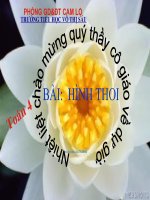 Toán 4: Hinh thoi