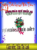 TNXH LỚP 2: GIA ĐÌNH