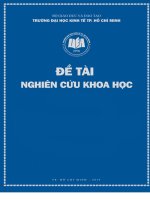 Độ nhạy cảm dòng tiền của việc nắm giữ tiền mặt bằng chứng từ các công ty tại việt nam