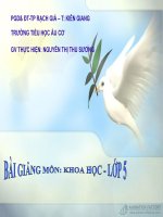 Tác động của con người đến môi trường KK & nước