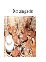 bài 7. Thực tiễn và vai trò của thực tiễn