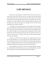 Nghiên cứu điều chế vật liệu hấp phụ kim loại nặng trong nước từ bùn đỏ