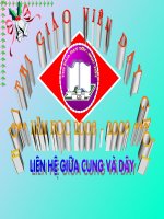 Liên hệ giữa dây và cung