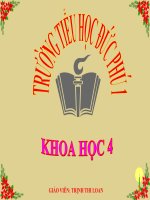 Nhu cau nuoc cua thuc vat