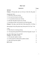 skkn dùng phương pháp dạy học tích hợp để giải thích định tính một số hiện tượng điện và từ trong chương trình vật lý lớp 11 ban cơ bản