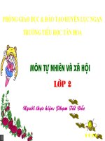 mặt trăng và các vì sao