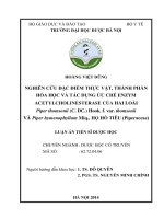 Nghiên cứu đặc điểm thực vật, thành phần hóa học và tác dụng ức chế enzym acetylcholinesterase của hai loài Piper thomsonii (C. DC.) Hook. f. var. thomsonii và Piper hymenophyllum Miq., họ Hồ tiêu (Piperaceae)