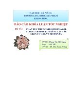 Phân hủy thuốc nhuộm remazol ultra carmime RGB bằng các tác nhân UVH2O2 và FentonUV (Fe2+UVH2O)