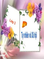 BAI 65: CAC DOI KHI HAU