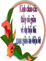 Bài 21. Trinh - Nguyễn phân tranh