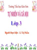 Trái Đất và Quả địa cầu - phiếm