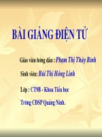 dien tich hinh binh hanh (lop 4)