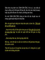 TAI SAO TOI NGOAI TINH