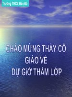cơ quan sinh dục nữ