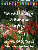 Đạo đức dành cho địa phương.