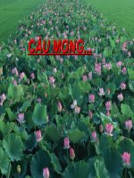 Cầu Mong