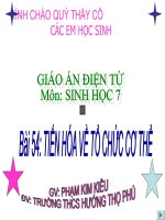 bài 54 tiến hóa về tổ chức cơ thể