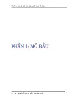 Thiết kế du lịch sinh thái tại U Minh, Cà Mau