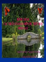 trả bài viết số 2