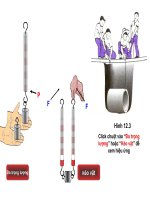 Slide thiết kế ròng rọc, đòn bẩy