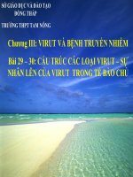 bai 29 + 30. CAU TRUC CAC LOAI VIRUT