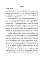 Nghiên cứu phát triển kỹ thuật phát hiện chủng Escherichia coli O157H7 và tạo kháng thể tái tổ hợp đặc hiệu (tóm tắt)