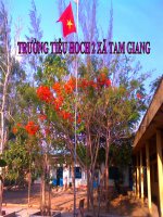 Toán lớp 2 tuần 25