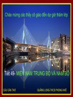 Tiết 49- Miền Nam Trung Bộ và Nam Bộ ( lopk)