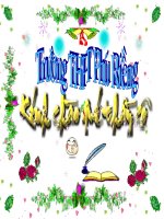 nguyen phann bao ha 10a1 tm ve ao dai