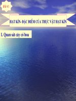 bài 41: Hạt kin- Đặc điểm chung của TV hạt kín