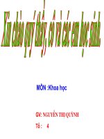 nhu cau chat khoang cua thuc vat