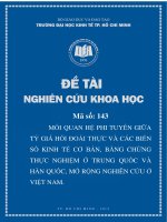 Mối quan hệ phi tuyến giữa tỷ giá hối đoái thực và các yếu tố kinh tế cơ bản, bằng chứng thực nghiệm ở trung quốc và hàn quốc, mở rộng nghiên cứu ở việt nam