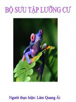 Một số loài Lưỡng cư