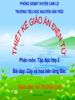 tap doc cay va hoa ben lang bac