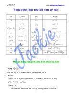Công thức nguyên hàm và các dạng nguyên hàm, tích phân