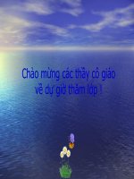 Các loại rễ, các miền của rễ sinh 6