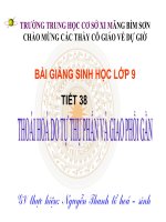 THOAI HOA DO TU THU PHAN VÀ GIAO PHOI GAN