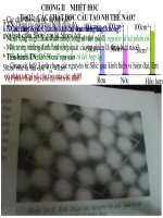 Tiết 22: Các chất được cấu tạo như thế nào