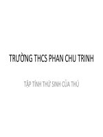 Tập tính thứ sinh của thú
