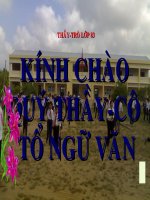 Lựa chọn trật tự từ trong câu (Luyện tập)