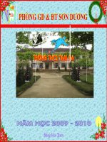 Bài 48 - Vai trò của thưc vật ...