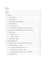 Nghiên cứu hiện tượng chuyển giá tại các doanh nghiệp có vốn đầu tư nước ngoài tại việt nam