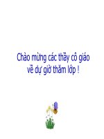 Sự lớn lên và phân chia của tế bào (hay) - sinh 6