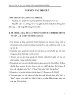 Đại số lớp 6 : Chuyên đề Nguyên lý Diricle.