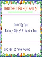 Tdoc T30Gap go Lucxambua