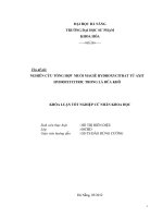 Nghiên cứu tổng hợp muối magiê hydroxycitrat từ axit hydroxycitric trong lá bứa khô