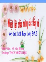 Hinh Cau, Dien Tich Mat Cau